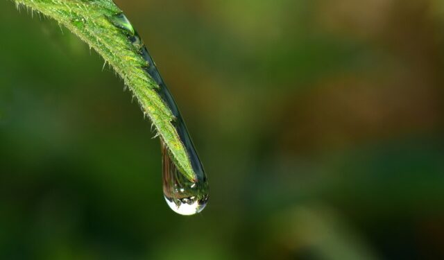 drops-2537039_1920